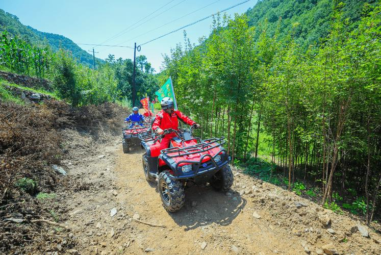 开云首页登录-山地越野自行车赛事，穿越森林与丘陵的极速挑战的简单介绍