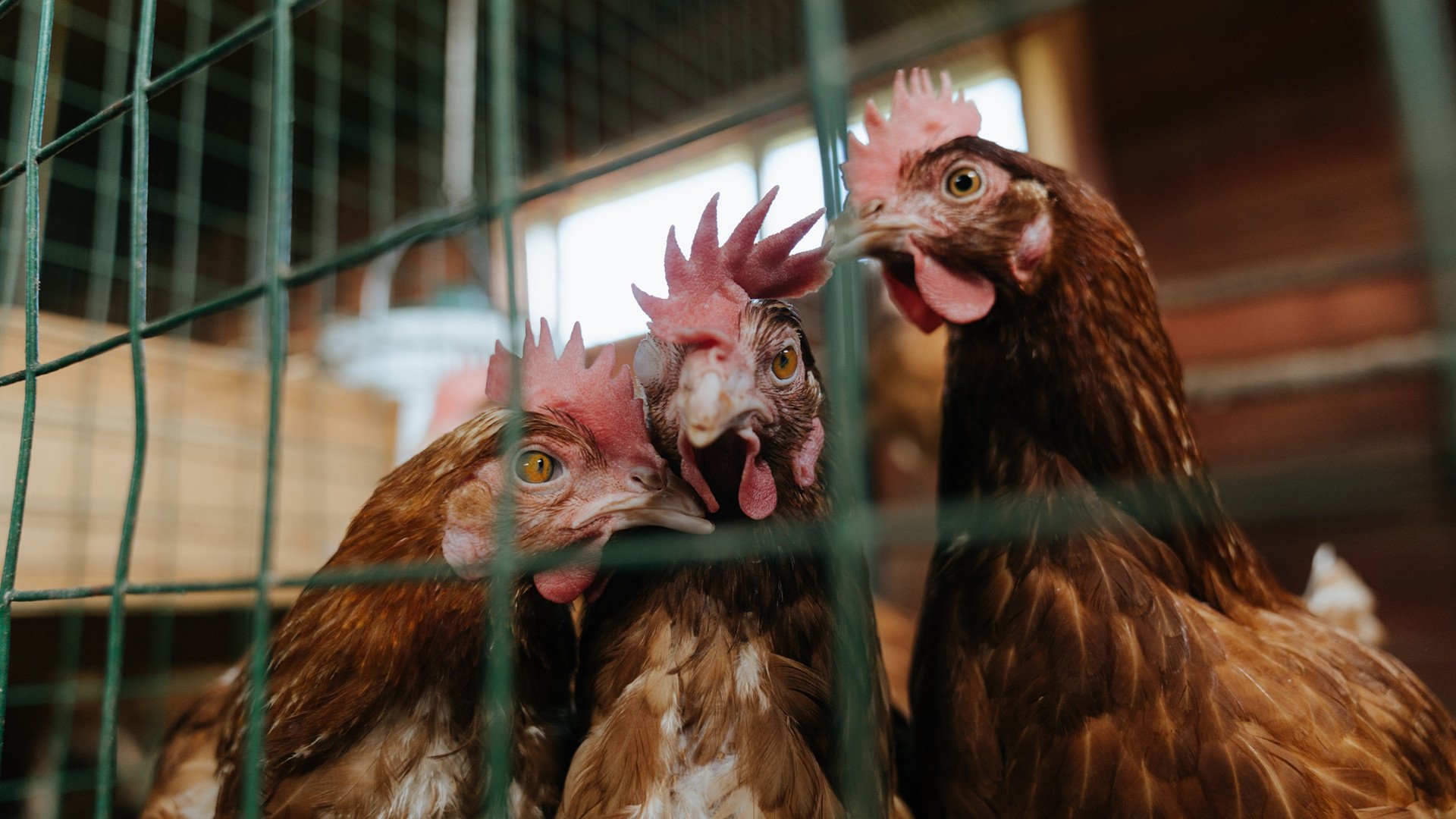 Kaiyun APP-_复古风大型电影主题网球赛：兼具娱乐与竞技_，经典网球比赛