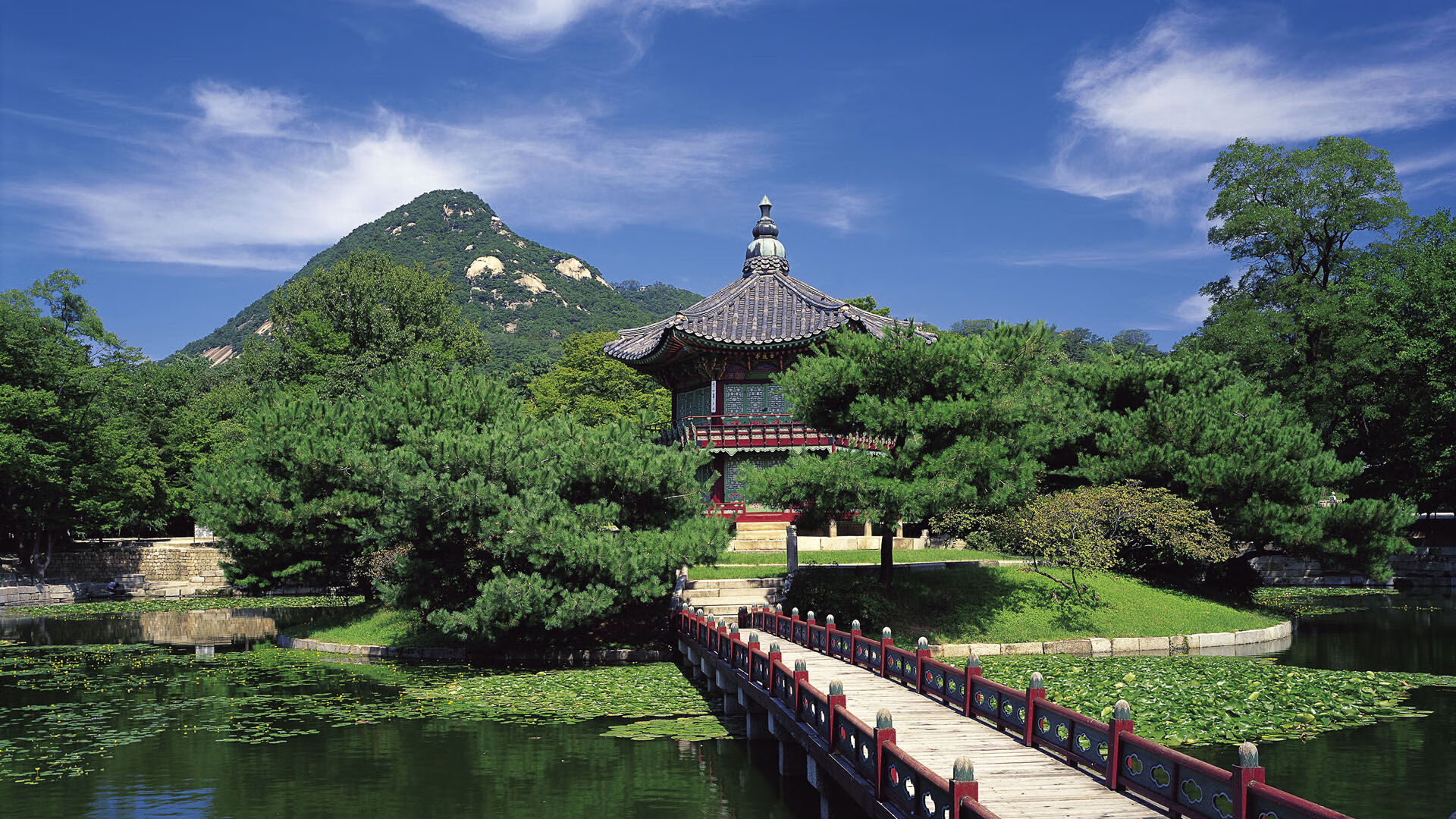 _火箭队迎头赶上，争取季后赛门票_，火箭队2022