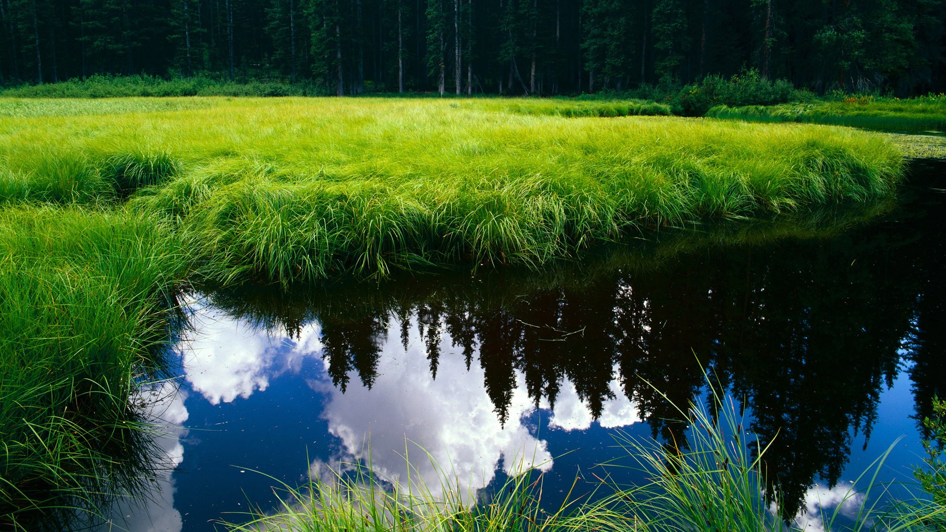 _火箭队逐步反弹,状态逐渐回升_,火箭队状况