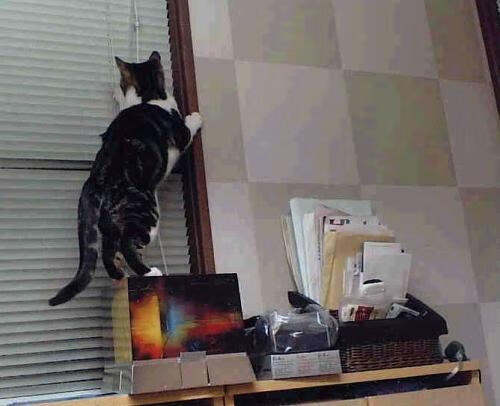 “关键时刻，定胜负的那一棒是否会写入史册？”，定胜负的意思