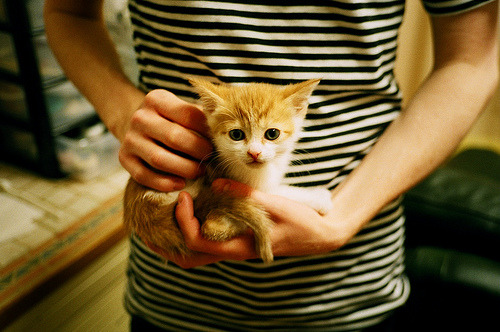 “极速突破”——超越极限的速度竞速经验,极速超越百度百科