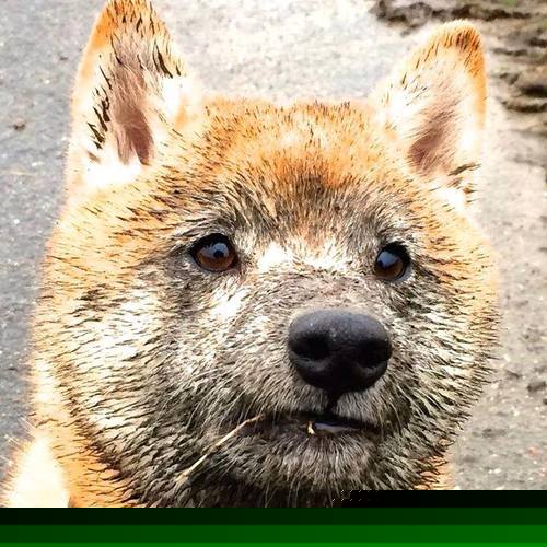 各俱乐部加快校园足球合作步伐,足球俱乐部与学校合作计划