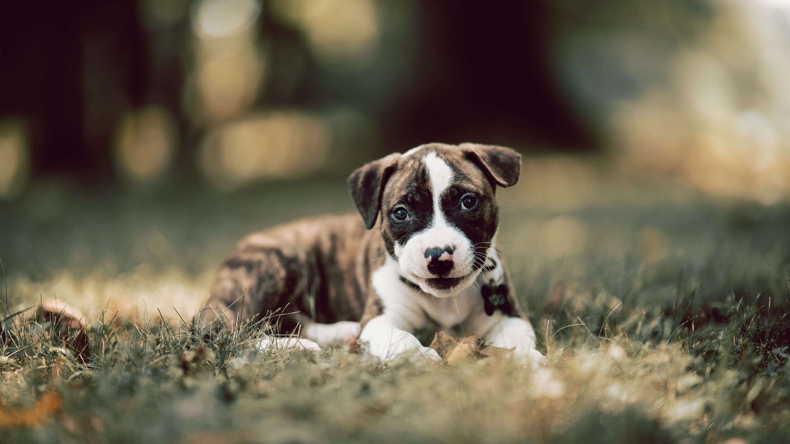 kaiyun体育综合-未来之星！青少年篮球夏令营开启新一季招募，寒假青少年篮球训练营