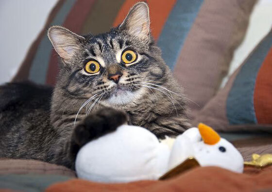 开云全站-青少年“技能+素养”双提升工程在全国高效推进，行业基础不断夯实