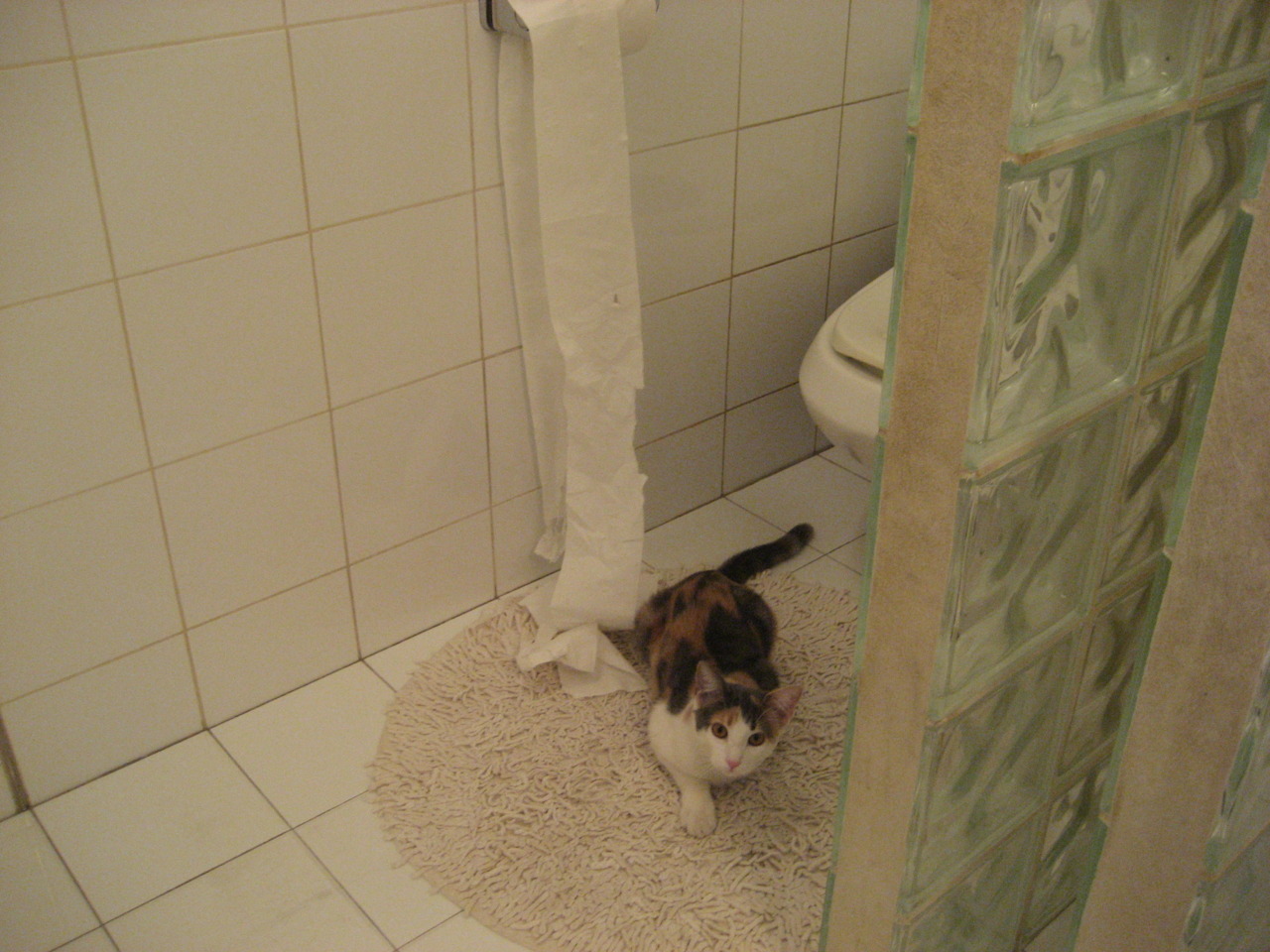 开云体育中国官网-凯撒酋长与国内媒体达成合作协议，提升曝光度，凯撒 csm