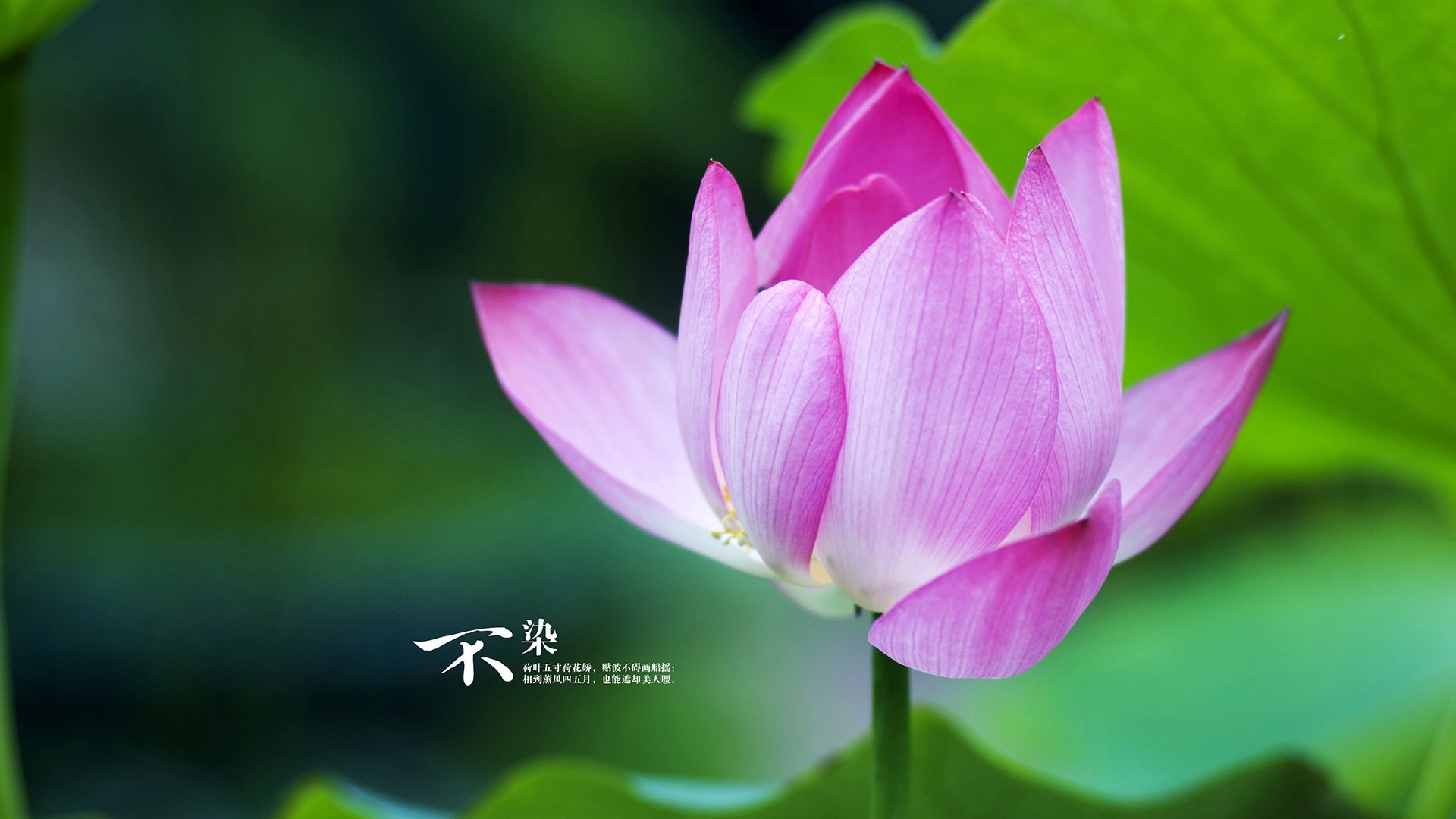 毕尔巴鄂竞技客场1-2不敌马洛卡，遗憾落败，毕尔巴鄂竞技主力