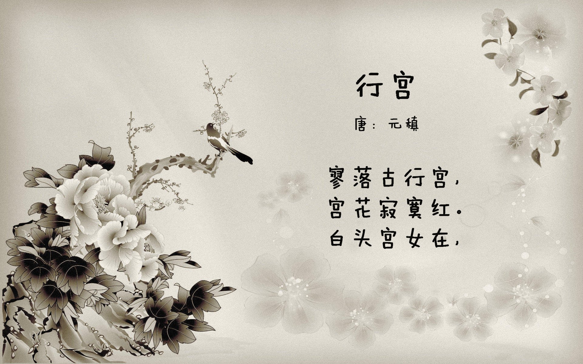 开云官网-狼队主帅埃斯帕尼奥赛后赞扬全队表现，球员士气高涨，狼队1_2埃弗顿