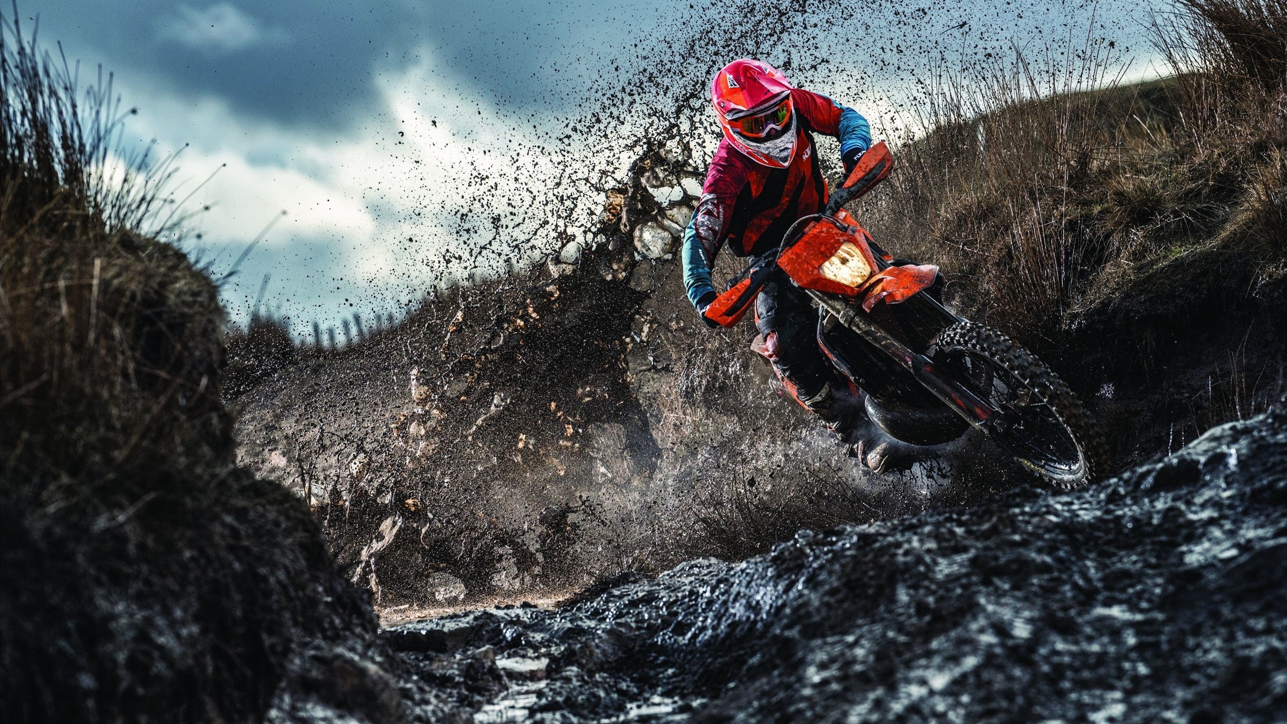 电竞社区治理中的玩家行为规范制定与冲突管理机制研究，电竞社区运营是做什么