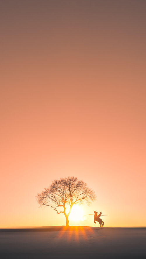 体育赛事品牌建设方案，体育赛事品牌营销