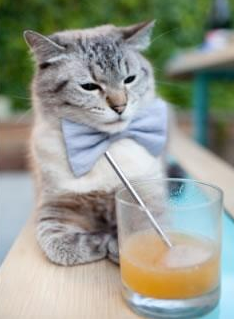 拜仁全队协作打出团队式压迫战术,拜仁全队合影