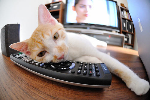 球队是否通过固定节奏训练提升高强度比赛适应力