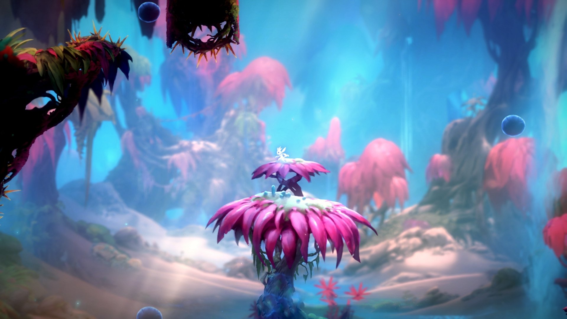 开云中国-职业球员缺乏国际赛事实战经验，职业球员缺乏国际赛事实战经验的原因