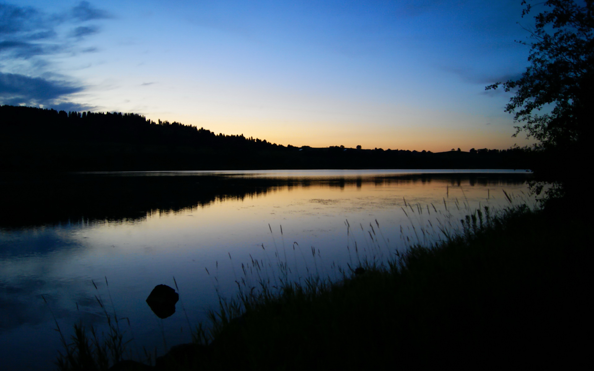 澳大利亚女子4×200米自由泳接力决赛夺冠,澳大利亚女子游泳接力